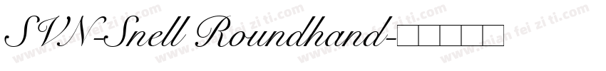 SVN-Snell Roundhand字体转换